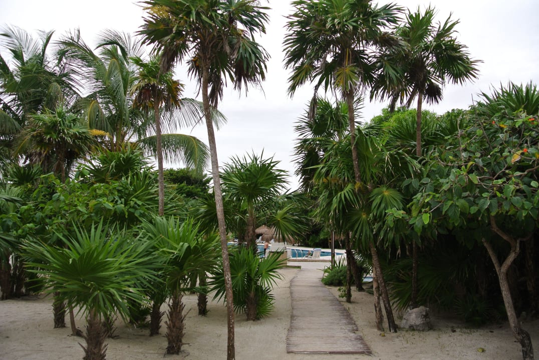 Jardin Grand Sirenis Riviera Maya Resort & Spa