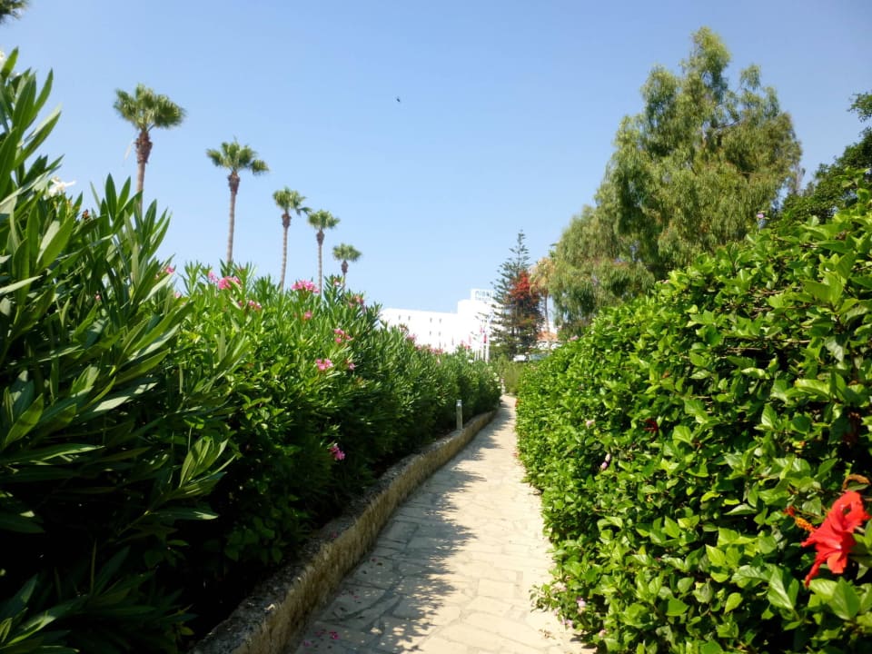 Weg zum Hotel Hara Nissi Beach
