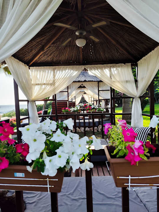 Gartenanlage Hotel Turan Prince