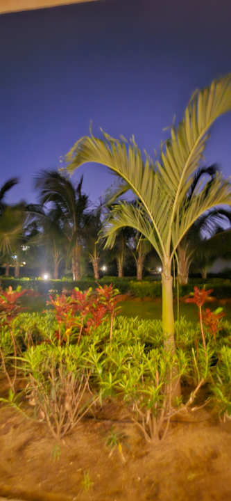 Außenansicht Hotel Riu Baobab - All Inclusive