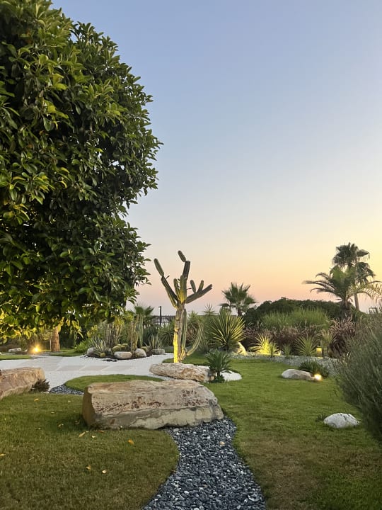 Gartenanlage Paloma Finesse