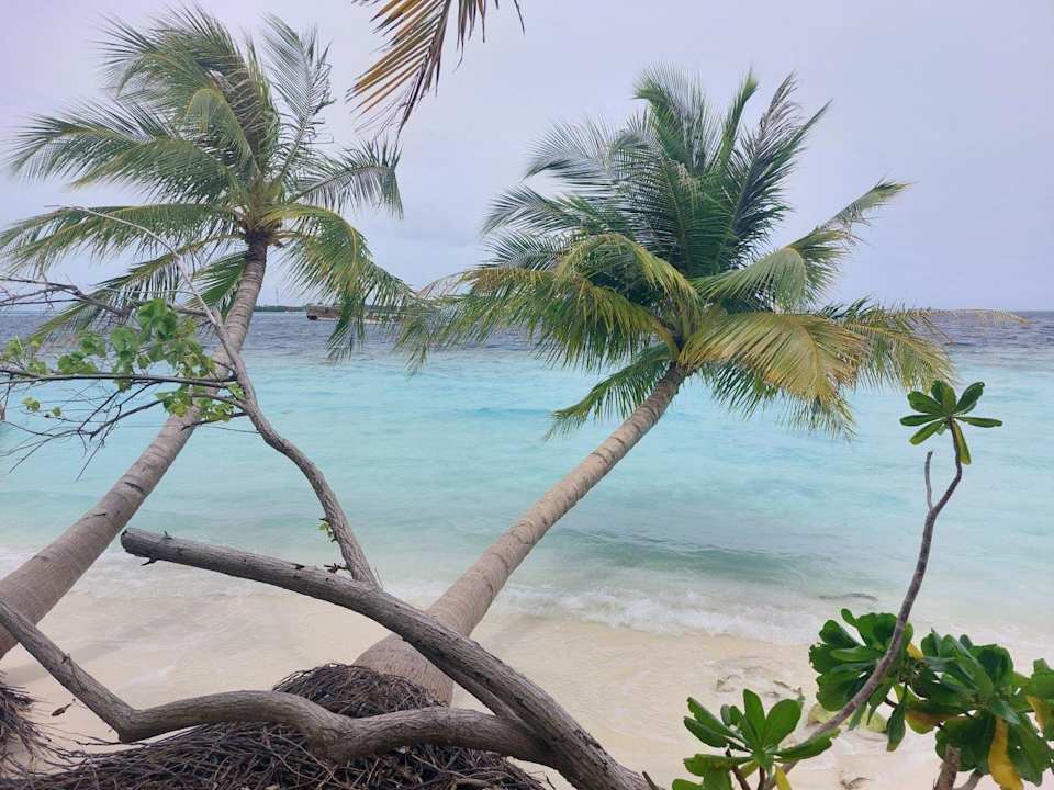 Außenansicht Vilamendhoo Island Resort & Spa