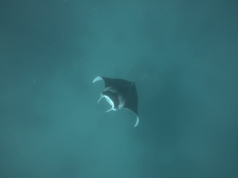 Sport & Freizeit ananea Diamonds Athuruga