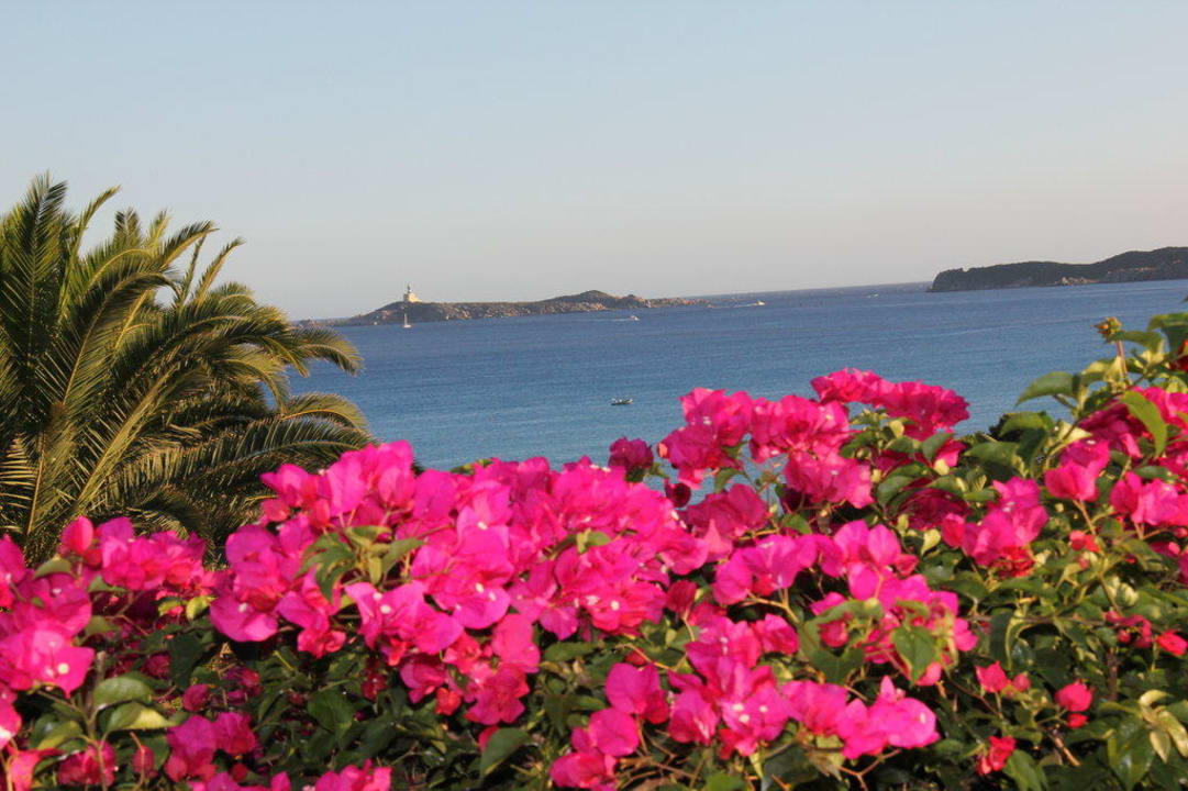 Schön gepflegter Garten mit Blick aufs Meer Hotel Residence Fenicia