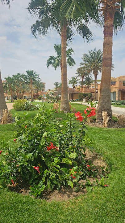 Außenansicht Shams Prestige Abu Soma-Adults Only