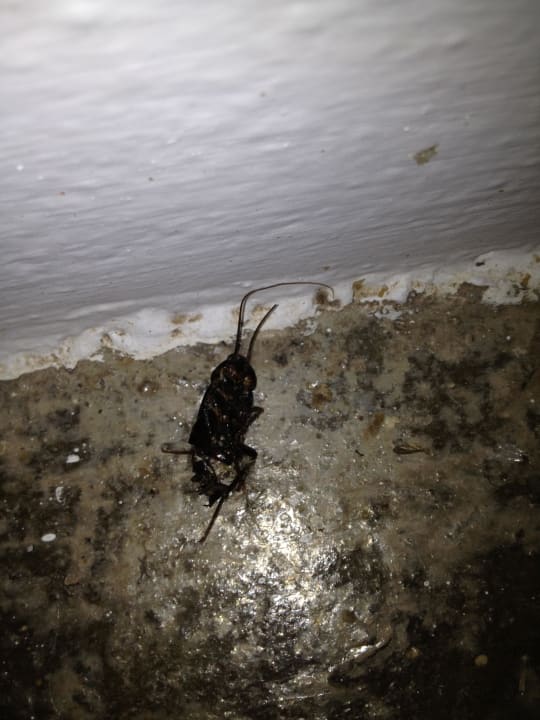 Treppe zum unbewohnten Teil am Aufzug direkt TUI SUNEO Chrissi Amoudia