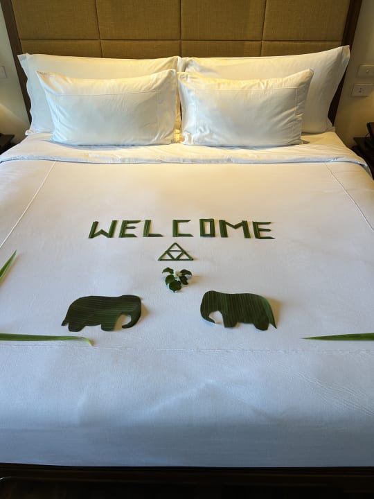 Zimmer Anantara Golden Triangle Elephant Camp & Resort