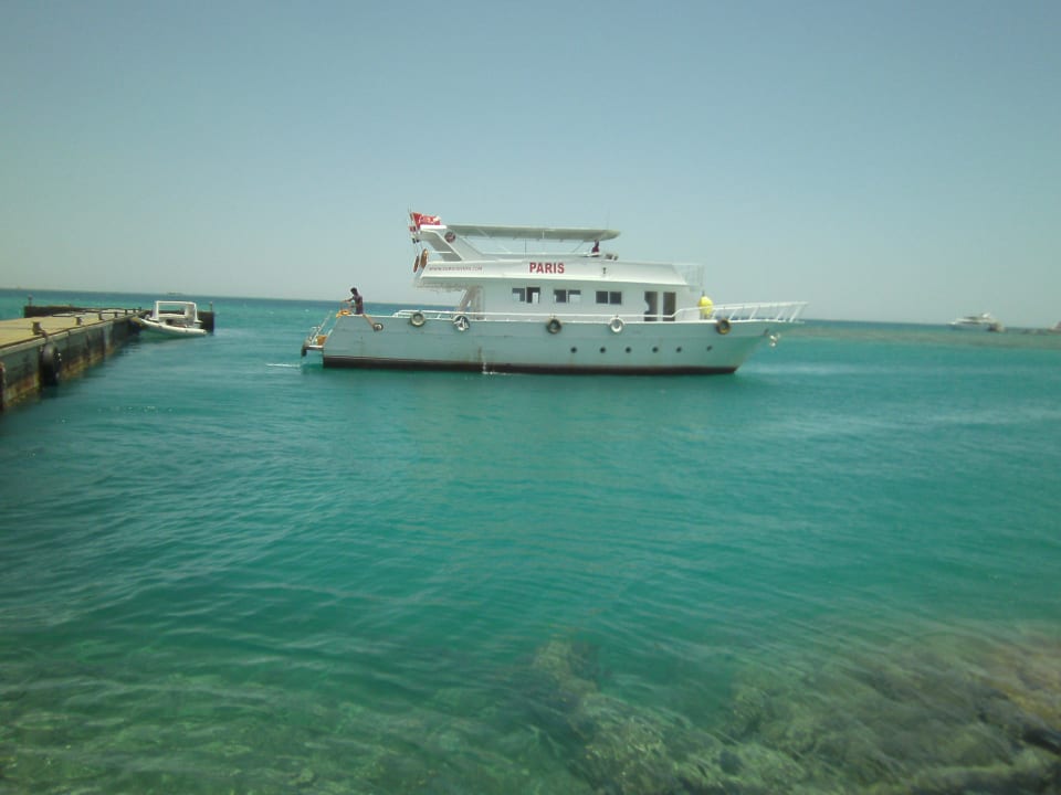 ..Restaurant am Strand-INCLUSIVE VÖGEL auf Teller The Grand Hotel Hurghada