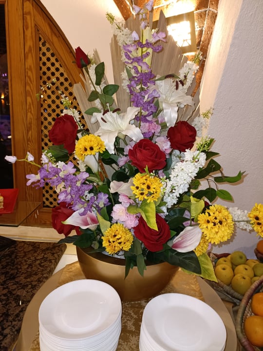 Gastro Beach Safari Nubian Resort