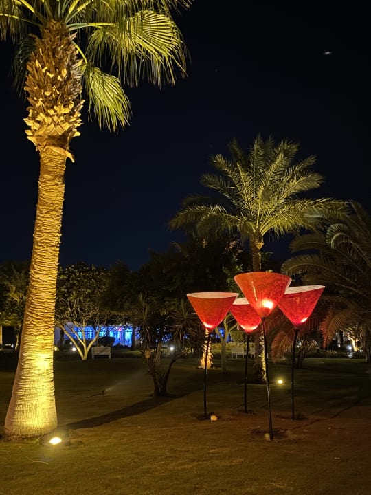 Gartenanlage Desert Rose