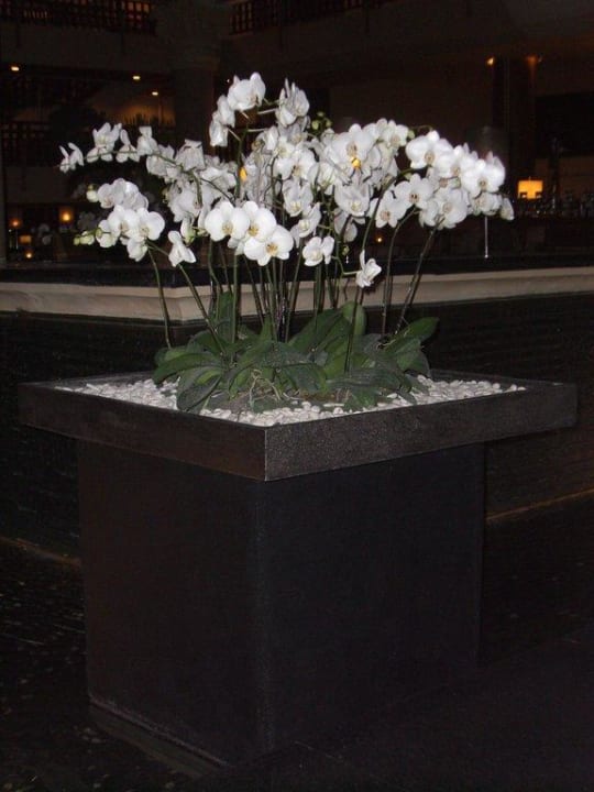 Weiße Orchideen im ganzen Hotel The Westin Resort Nusa Dua, Bali