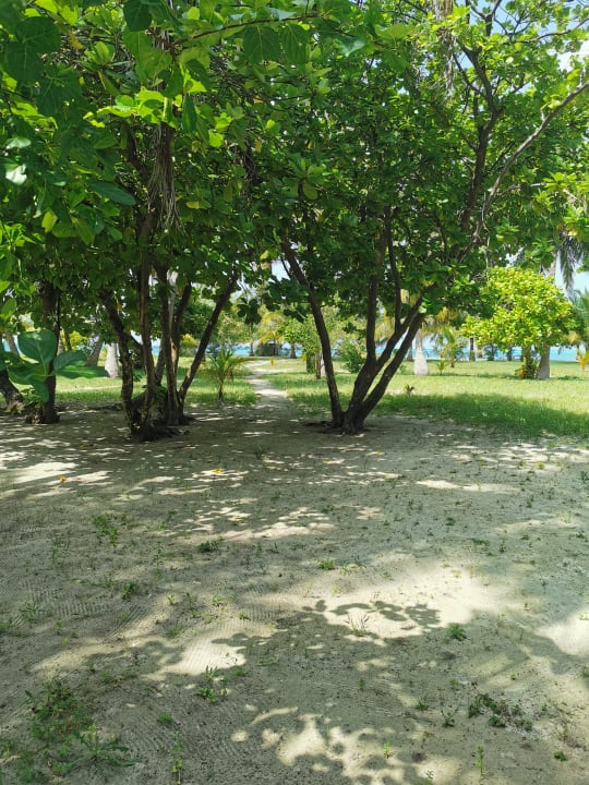 Außenansicht Meeru Maldives Resort Island