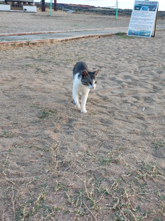 Strand Oz Hotels Incekum Beach