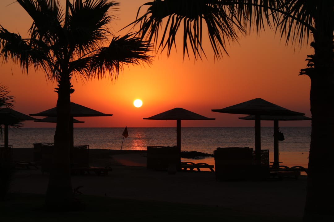 Strand Shams Prestige Abu Soma-Adults Only