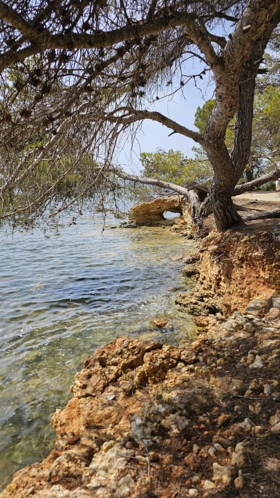 Ausblick Iberostar Selection Santa Eulalia Ibiza