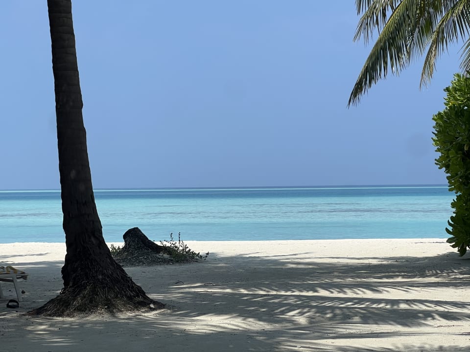 Ausblick Kandima Maldives