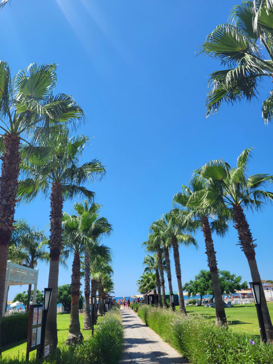 Gartenanlage Sunis Elita Beach Resort & Spa