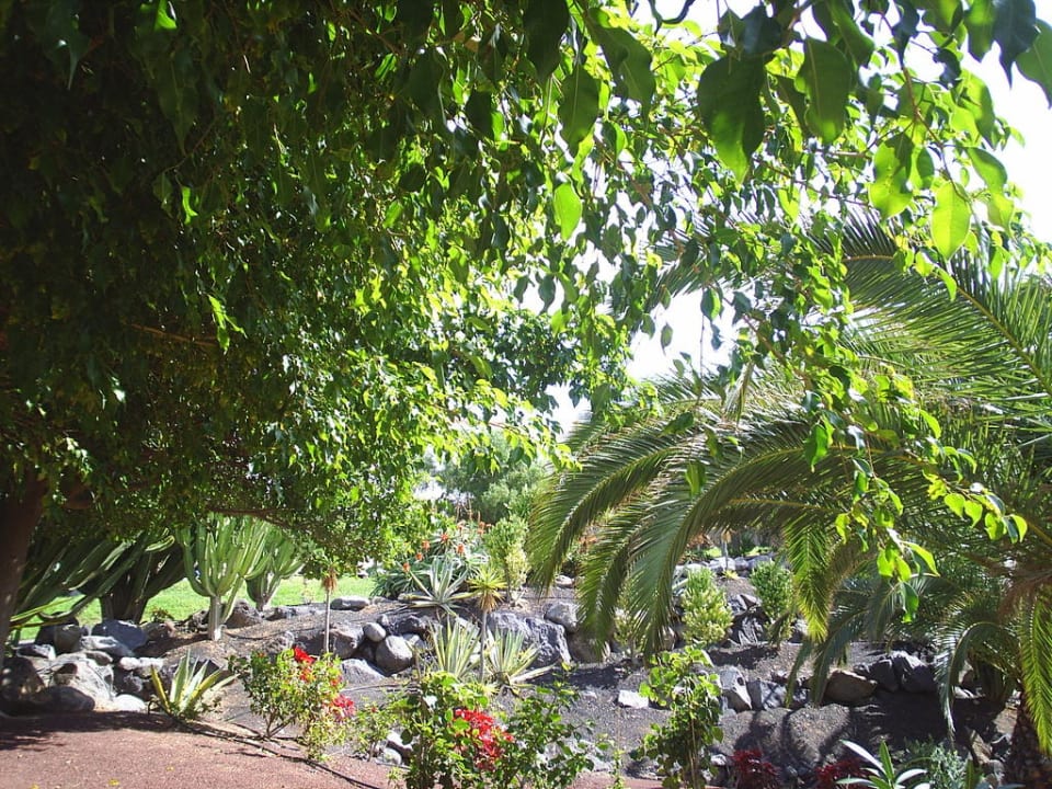 Oberer Garten allsun App.-Hotel Esquinzo Beach