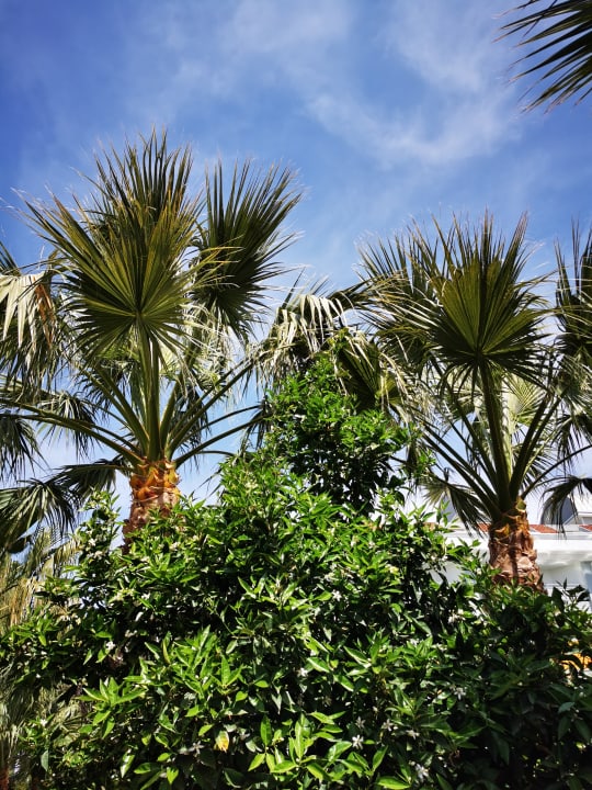 Gartenanlage Hane Family Resort