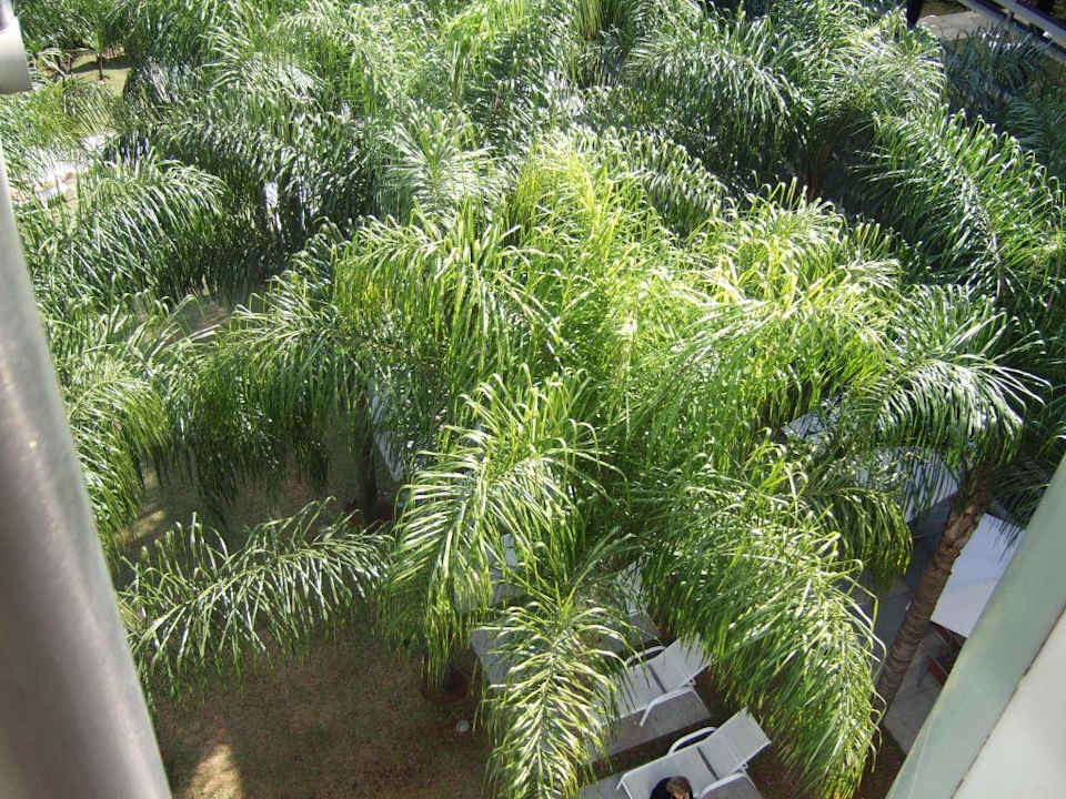 Liegebereich Pool Grand Hyatt São Paulo