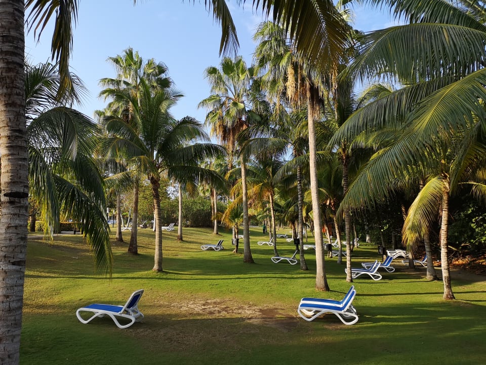 Gartenanlage Blau varadero - Adults only
