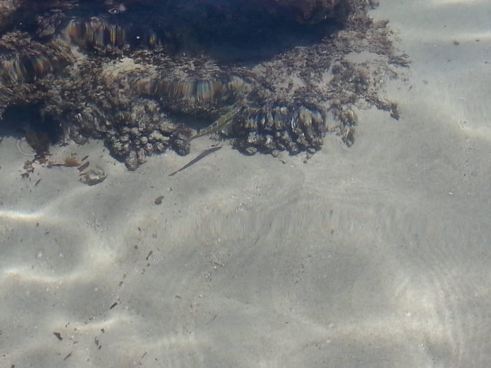 Cudowna czysta woda AluaSoul Zakynthos - Adults only