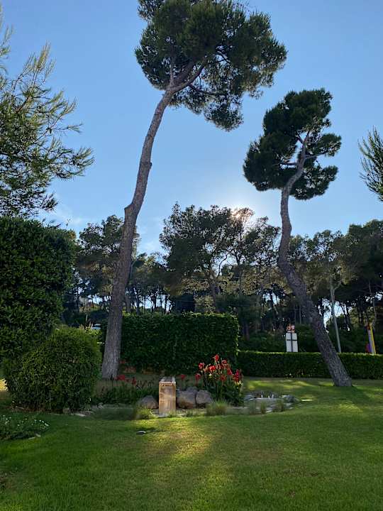 Gartenanlage Grupotel Aguait Resort & Spa - Adults only