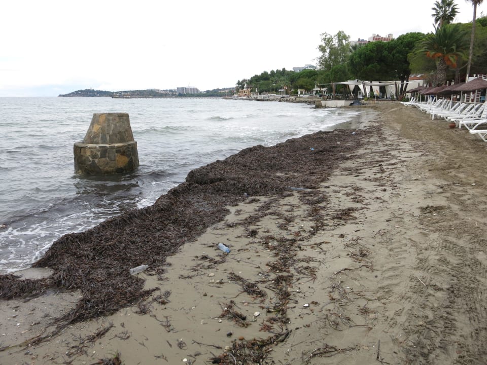 Abflußleitg. Seegrass, was unregelm beseitigt wird Ephesia Holiday Beach Club