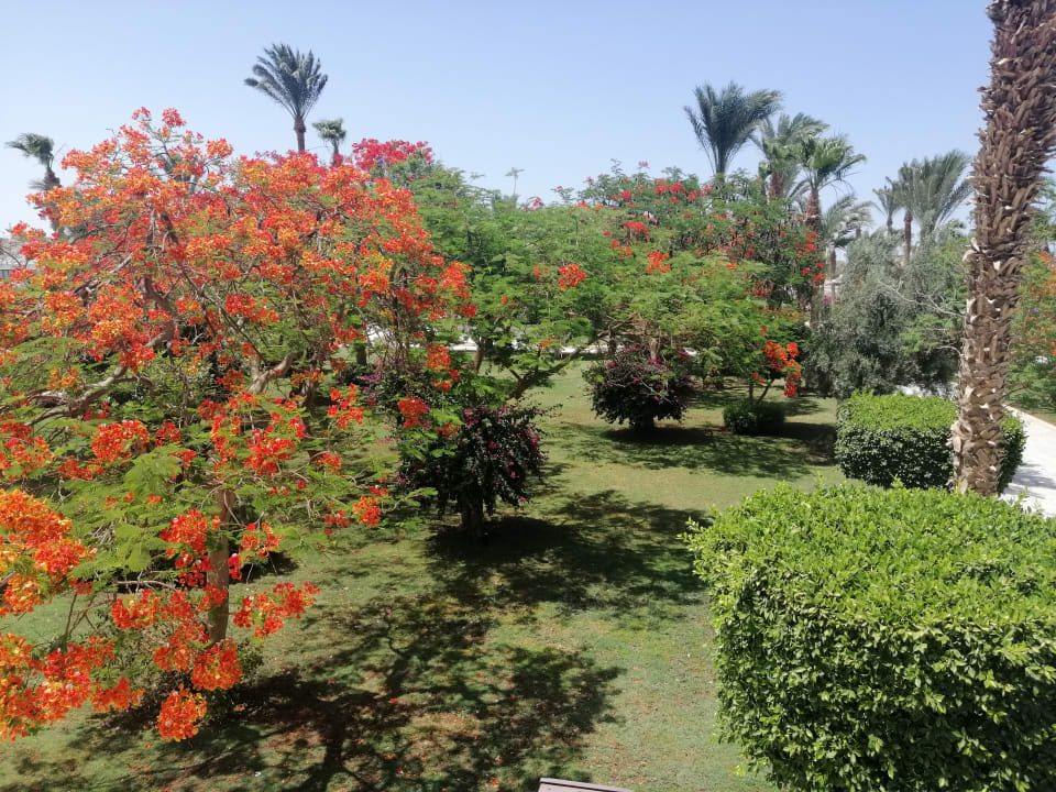 Gartenanlage The Grand Hotel Hurghada