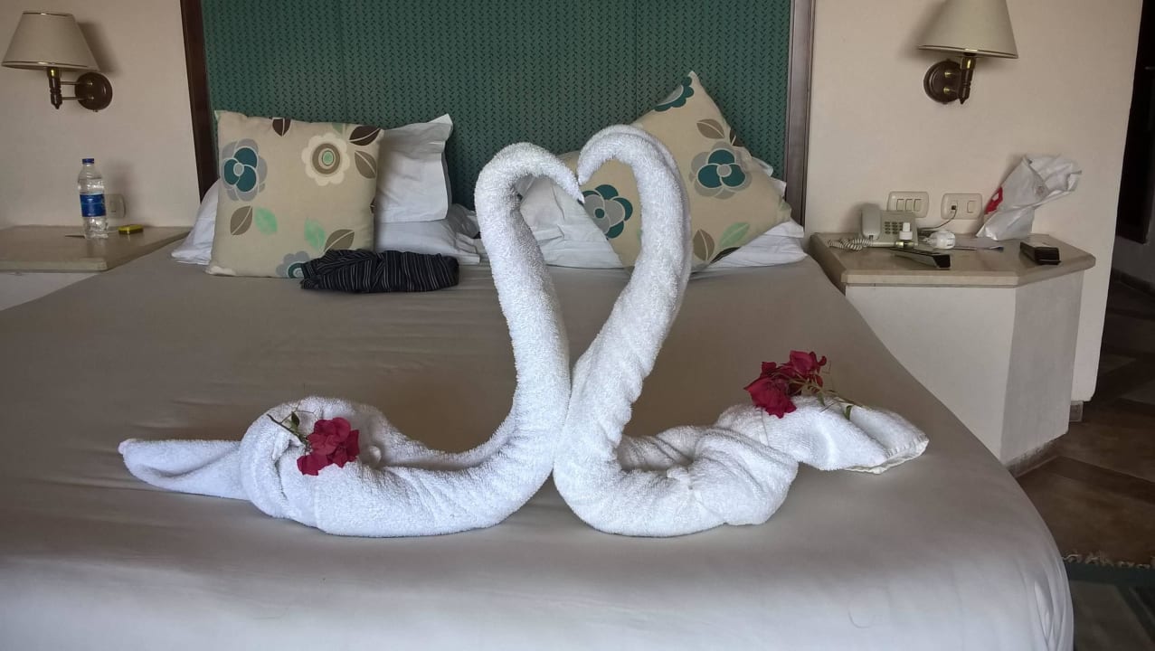 Handtuschmotive Pickalbatros Citadel Resort