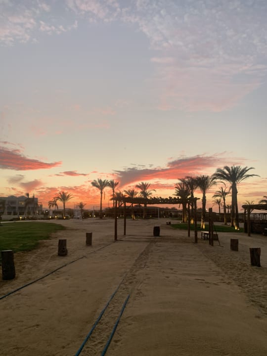 Strand Steigenberger Resort Alaya Marsa Alam - Red Sea - Adults only