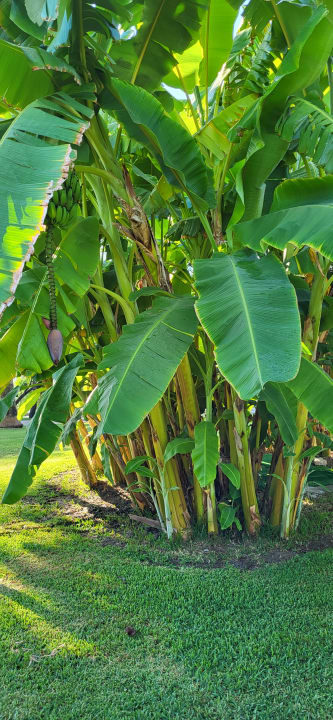 Außenansicht Hotel Süral Resort