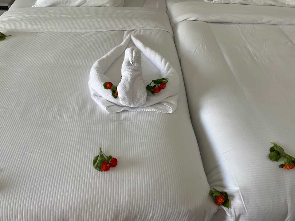 Zimmer Albatros Makadi Resort