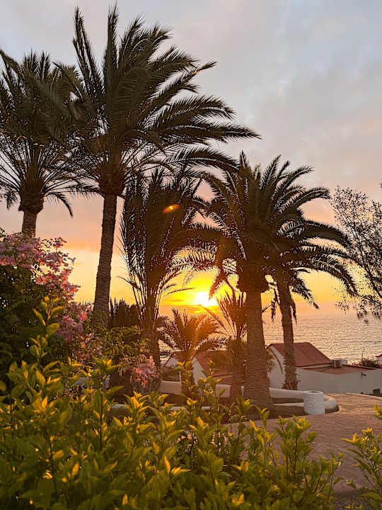 Gartenanlage Aldiana Club Fuerteventura