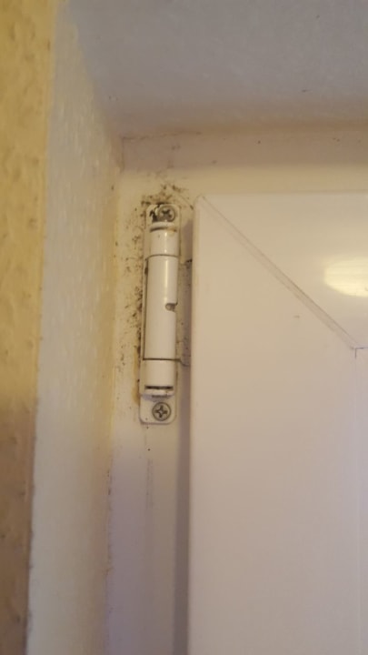 Zimmer Center Parcs Park Bostalsee