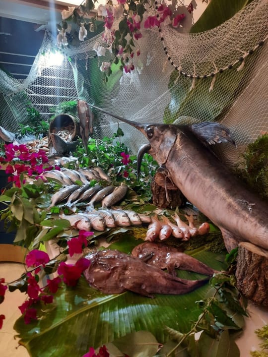 Gastro Seaden Quality Resort & Spa