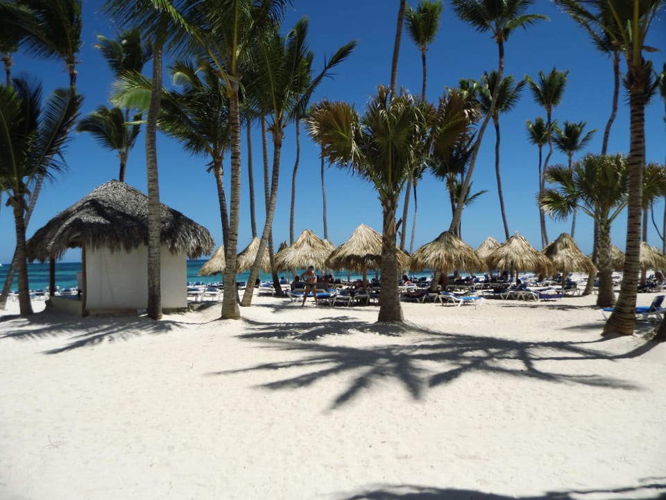 Fantastischer Strand  Meliá Caribe Beach Resort-All Inclusive