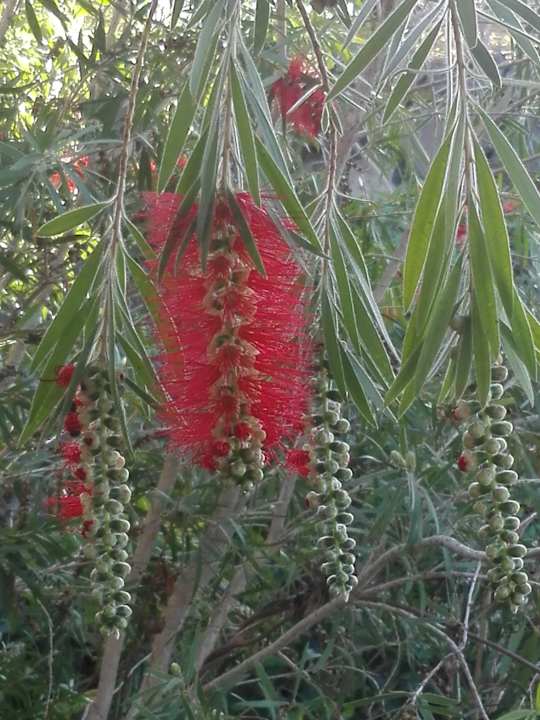 Gartenanlage Jardin Mariposa Retreat- und Seminarzentrum