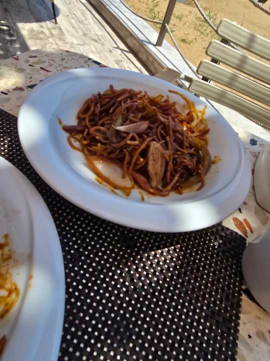 Gastro Seashell Vega