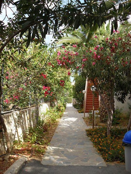 Hotel tonie w kwiatach i zieleni Sirios Village Hotel & Bungalows