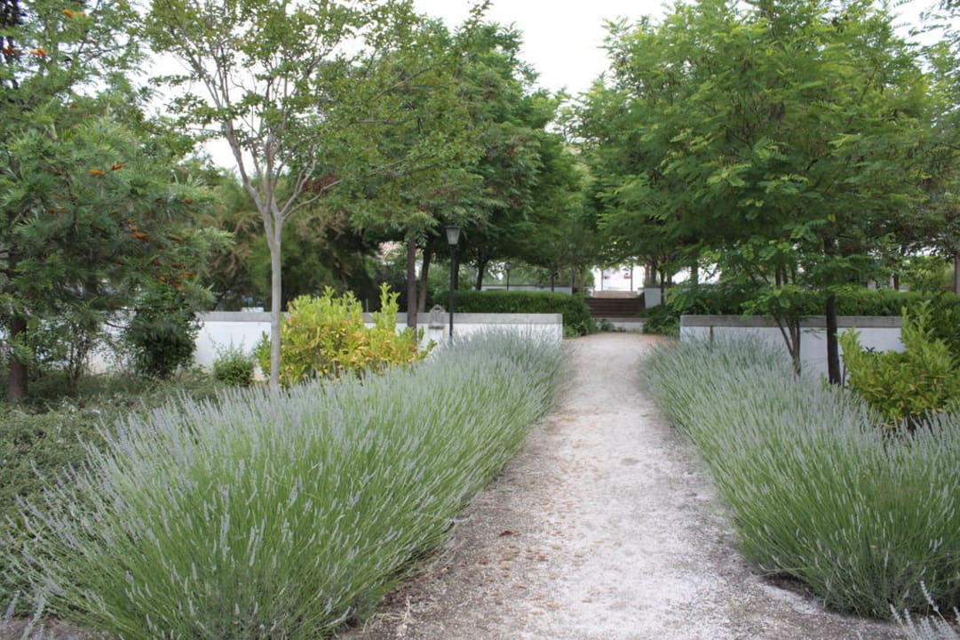 Garten mit Blickrichtung Hotel Hotel Molino del Arco