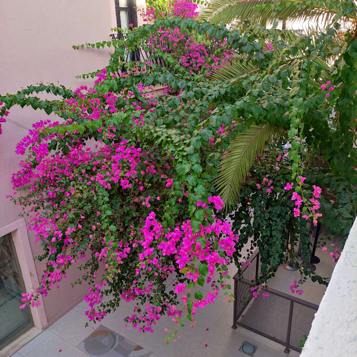 Gartenanlage Bodrum Park Resort