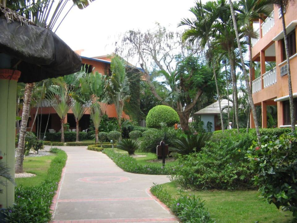 Garten BelleVue Dominican Bay