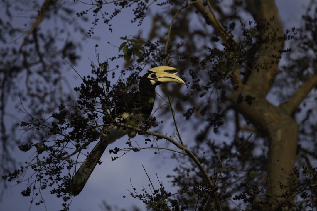 Sonstiges Cape Kudu Hotel, Koh Yao Noi