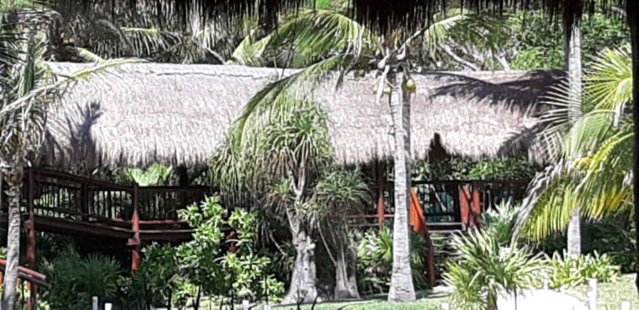 Gartenanlage Akumal Bay Beach & Wellness Resort