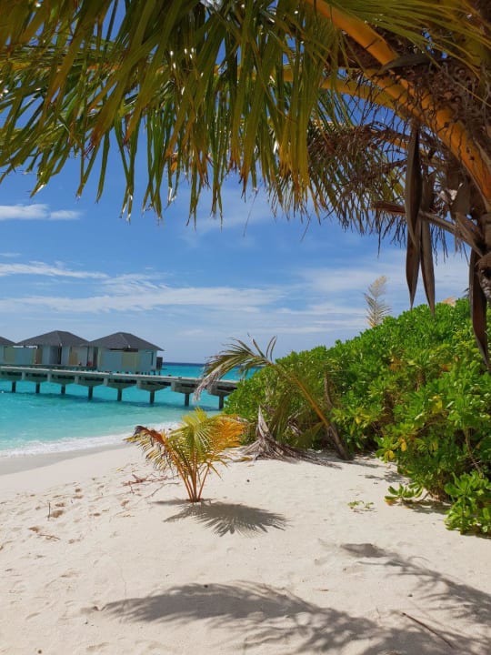 Strand NH Collection Maldives Havodda Resort