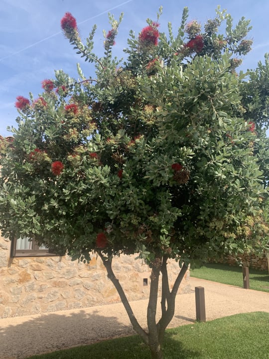 Gartenanlage Hotel Son Trobat Wellness & Spa