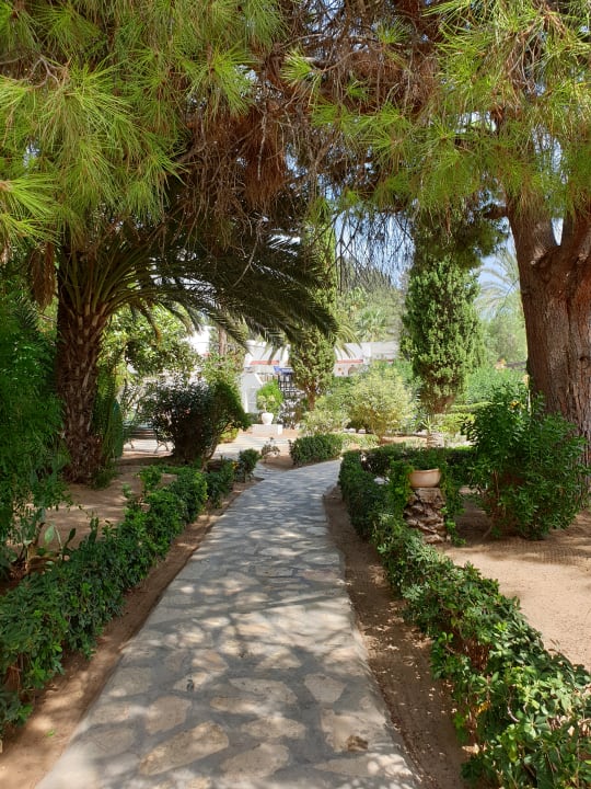 Gartenanlage Marhaba Royal Salem