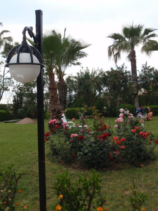 Розы на каждом шагу! Holiday Park Resort