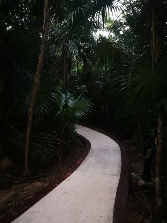 Gartenanlage Grand Palladium Kantenah Resort & Spa